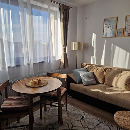 Craitelor Boutique Airport Apartment Otopeni Ngoại thất bức ảnh